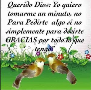 Meet your Posher, Ben y jazmine